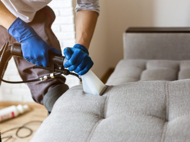 hoovering upholstered sofa cushions hoovering upholstered sofa cushions